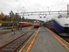 Togmøte på Nelaug