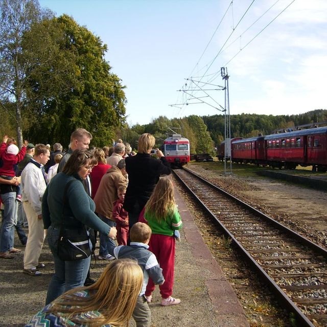 Endelig på Rise kom toget