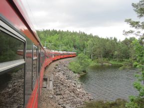 Fra et av de lange tog under Hovefestivalen