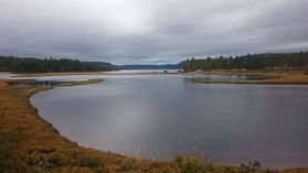 Utover Nelaugvannet