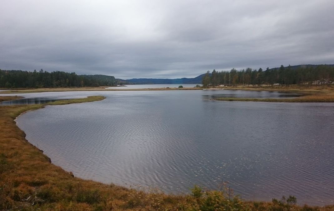 Utover Nelaugvannet