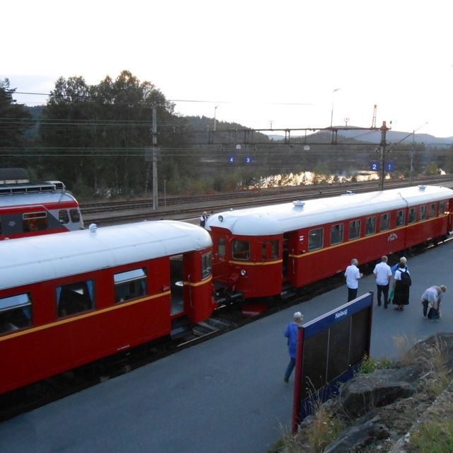 Spor 1 Nelaug stasjon