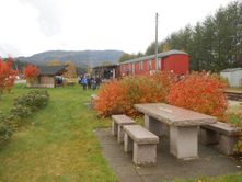Høstfarger