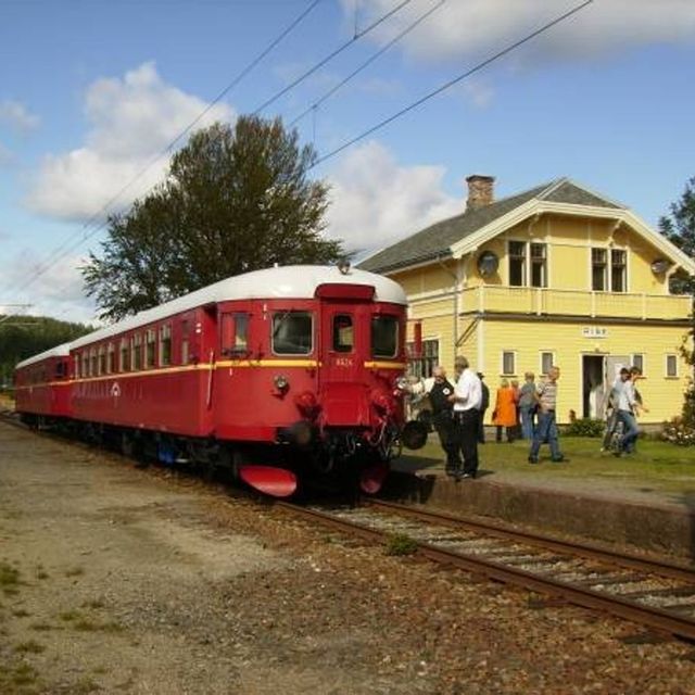 Rise stasjon med museumstog