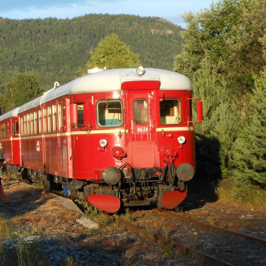 Togsettet i kveldssolen