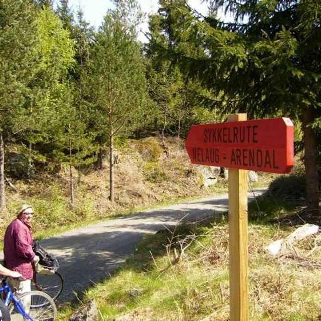 Fra sykkelruta fra Nelaug til Arendal