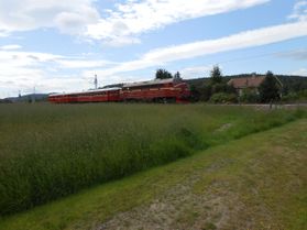Ved Messel 16.juli 2013