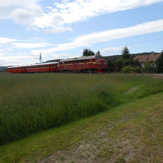 Ved Messel 16.juli 2013