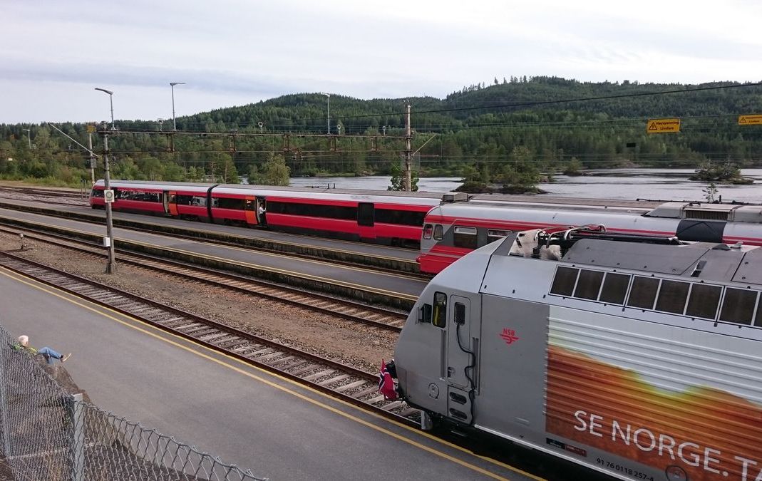 Ordinær trafikk måtte gå, selv om det var storbesøk på Nelaug.
