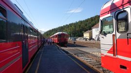 Togbytte på Nelaug