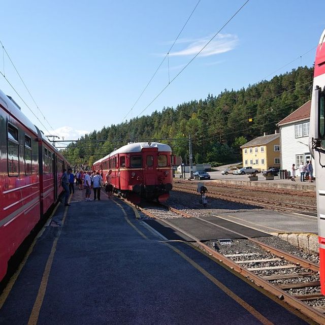 Togbytte på Nelaug