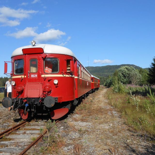 Fra Simonstad